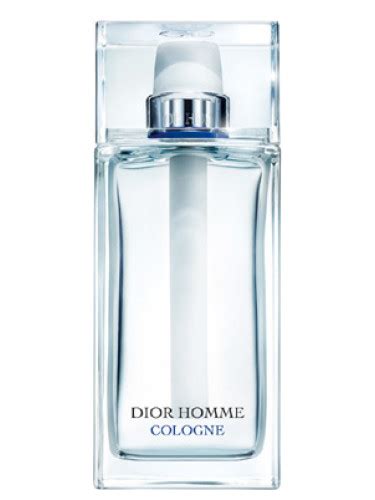 dior homme cologne review 2013|Dior Homme cologne fragrantica.